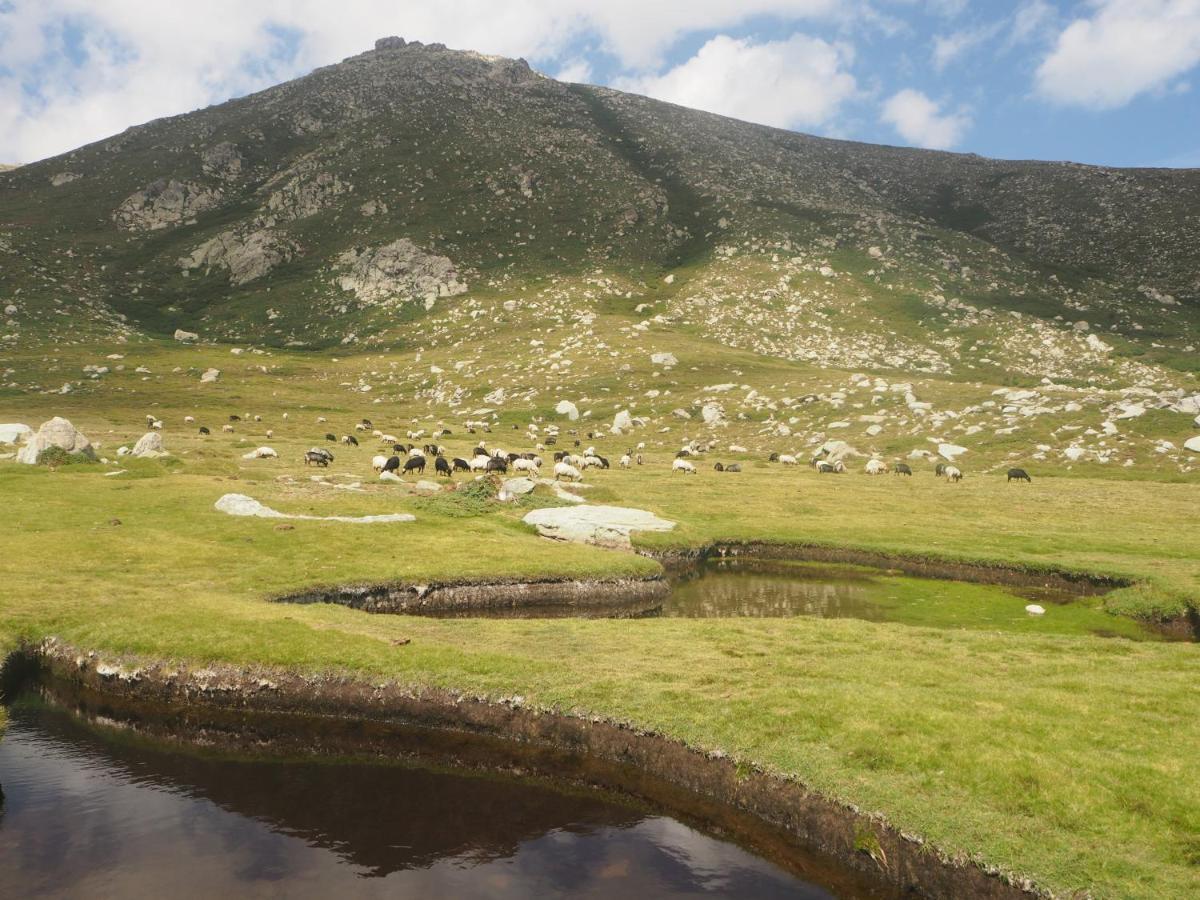 Belvedere De Sartene Bagian luar foto